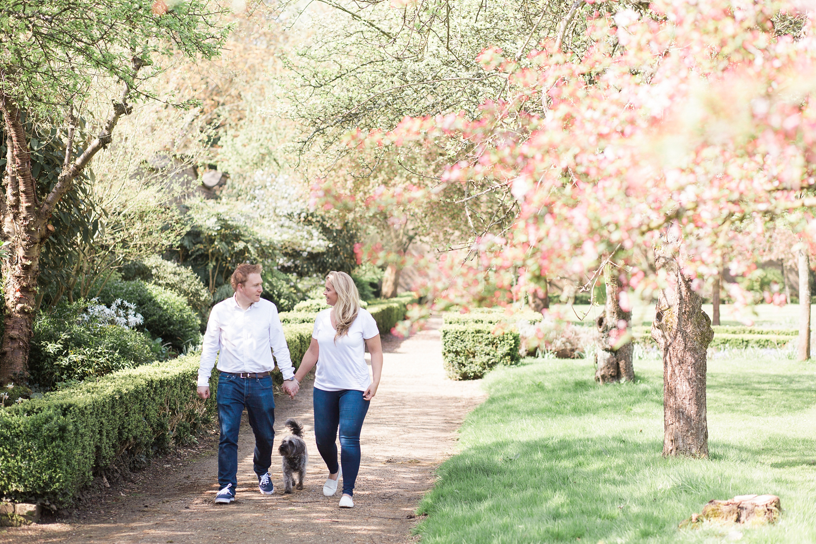 Engagement Shoot Spring Blossom Fine Art Wedding Photography couple walking with their dog, candid